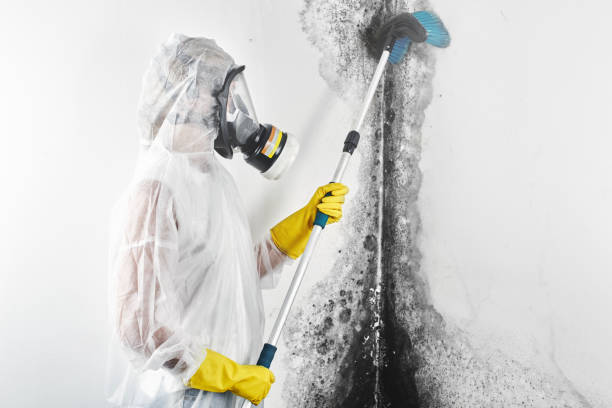 Best Commercial Mold Inspection  in Louisville, GA